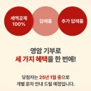 정산댁 | 고향사랑기부제 연말정산, 실제 웰로에서 해결한 후기