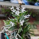 금산분재펜션 이미지