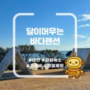 바다조아펜션 | [태안] 달이머무는바다펜션 오션뷰 가성비 감성숙소 개별 테라스 갯벌체험 내돈내산 솔직후기