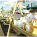 에이플러스 호스텔 이미지