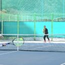 청송군민운동장 테니스장 이미지