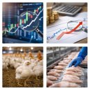 (주)동우팜투테이블 | 동우팜투테이블주가, 지금 반등 신호일까?