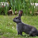 타이어 코리아 이미지