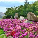 (주)삼문 이미지