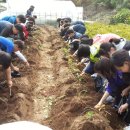 봉조농촌체험학교(봉조마을) 이미지