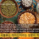 하루밀 - 춘천시 학곡동2길 17 | 하루밀