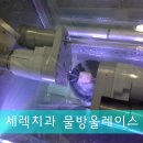 바로나치과기공소 이미지