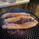 해뜨는 숲속 이미지