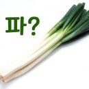 하하골프존 이미지