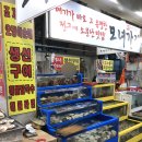 모녀가리비 이미지