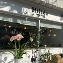 밀다(Millda) 이미지