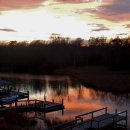 밴드홀릭 이미지