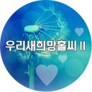 희망Ⅱ 티스토리