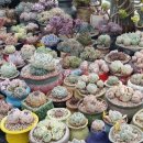 민경농장 이미지