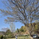 옥희수산
