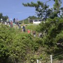 아라클럽 이미지