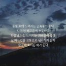 훈핏 이미지
