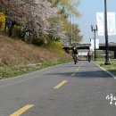 야탑2동 주민센터 이미지