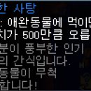 펫키퍼 이미지