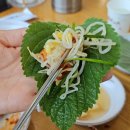 조가네 티스토리