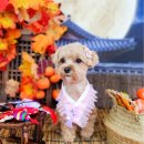 하률로12번길 이미지