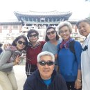 2017년 10월 경주 이미지