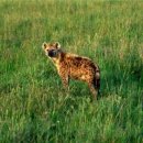 WS복싱클럽 이미지