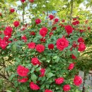 계양경기장 이미지