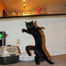 오구오구내새끼 이미지