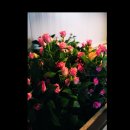 서인농장 이미지