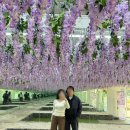 광주광역시 시립수목원 A동 | 광주 시립수목원 전라도 여행 코스 추천 솔직후기