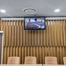 레인보우 버블쇼 이미지