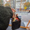 목동제일큰약국 이미지