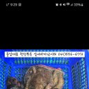 고고실내바다낚시터