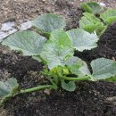 바위농장 이미지