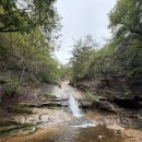 영동 | 충북 영동 천태산 우중 산행 후기