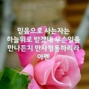 청담 엑티브짐 이미지