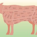 명성회관 이미지