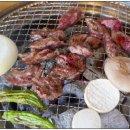 황금장어 이미지