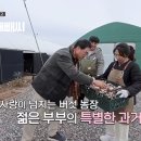 강정농장 이미지