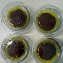 범안로·옥길로·양지로·부광로 | 부천 두쫀쿠집 8군데 비교(반짓담,쓰리스완,카페동네,여대표,나나바바,카페소담,별빛탕후루,테이크...