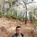 너부대근린공원 이미지