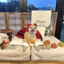 어썸스테이 이미지