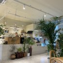 시샘달사흘 이미지