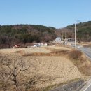 중리공인중개사사무소 이미지