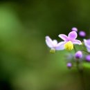 나그네쉼터 이미지