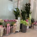 호산부동산공인중개사사무소 이미지