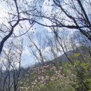 지리산거북이산장식당 네이버블로그