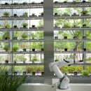 양자농장 이미지