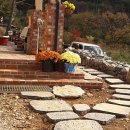 두 Y자(주말) 이미지